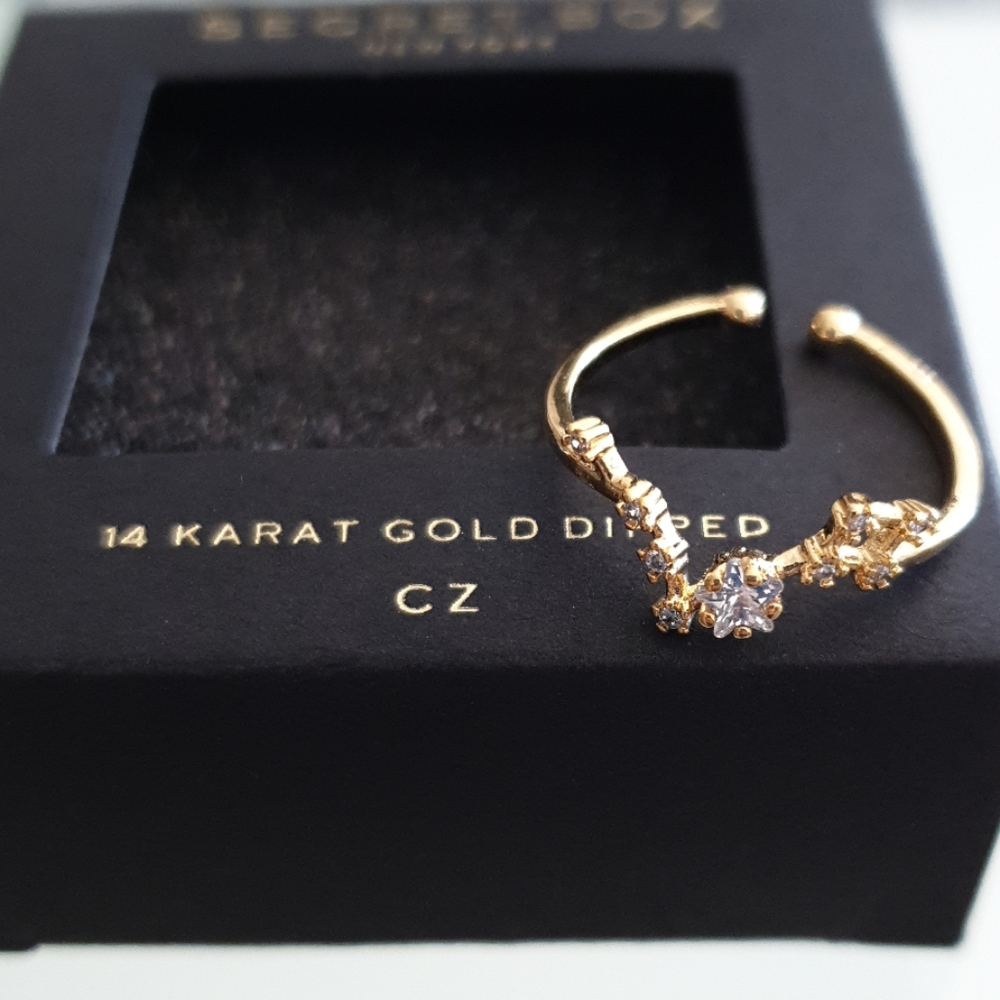 Pisces Zodiac Ring 14K Gold Dipped wedding ring cz